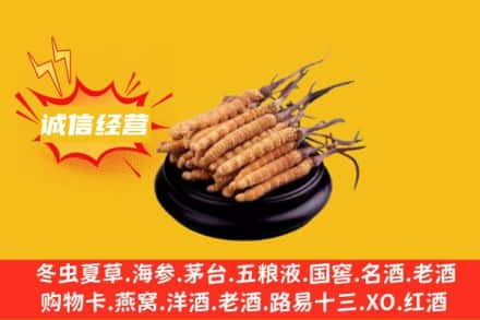 阜平县回收冬虫夏草